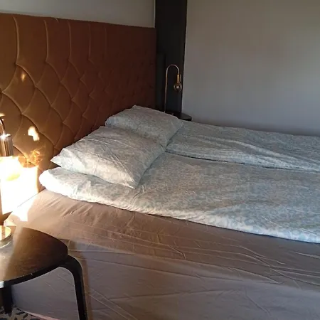 Balticus House מלון *