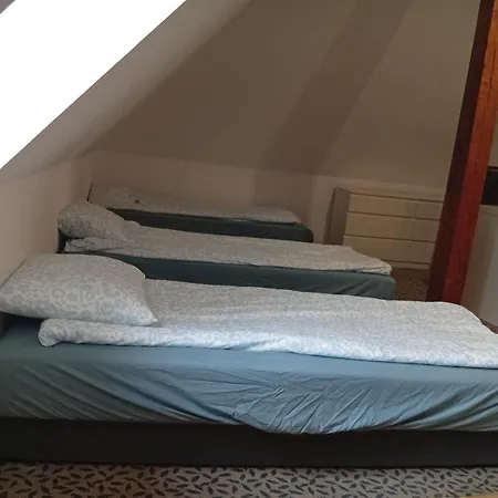 Balticus House * Gdansk