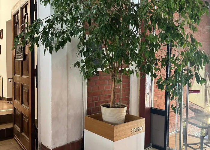 Balticus House מלון גדנסק