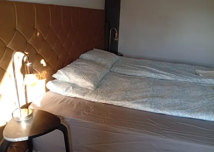 Balticus House מלון *