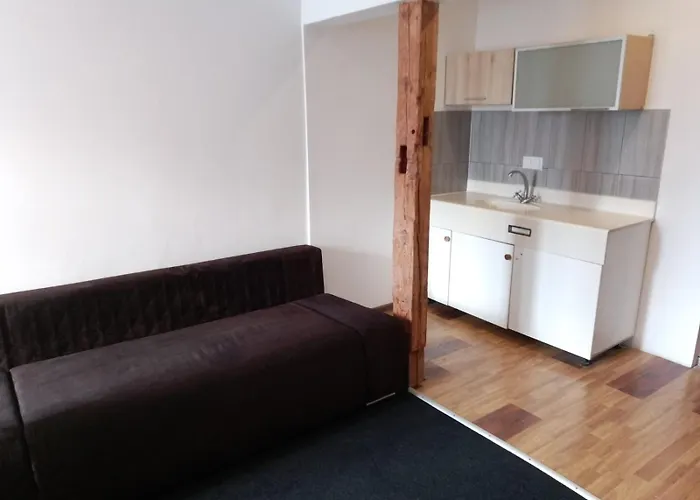 Balticus House מלון *